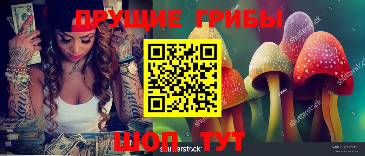 Белово  Галлюциногенные грибы Magic Shrooms  Вход с VPN  Псилоцибиновые грибы прущие грибы 