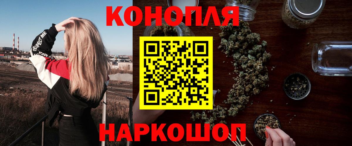 Бошки Шишки планчик Белово